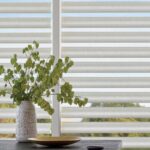 HunterDouglas Pirouette window shades