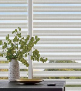 HunterDouglas Pirouette window shades