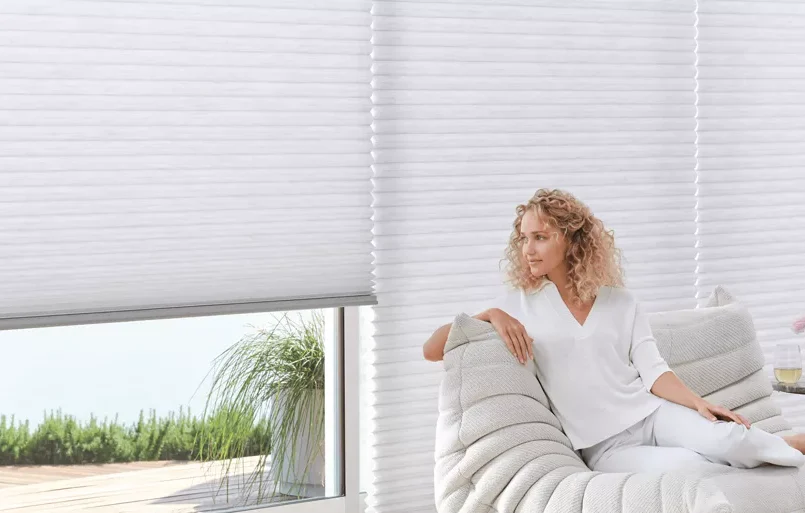 living room with hunterdouglas duette shades