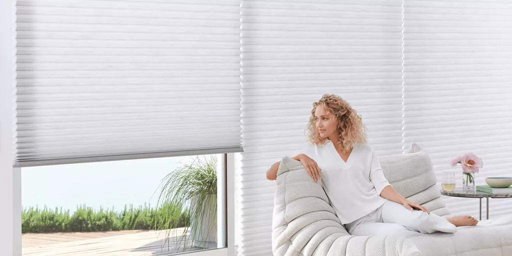 living room with hunterdouglas duette shades